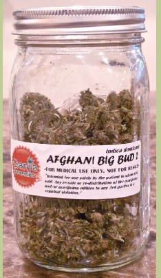 GanjaGourmetAfganiBigBud2jar