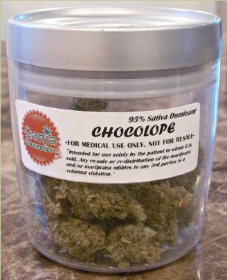 GanjaGourmetChocolopejar