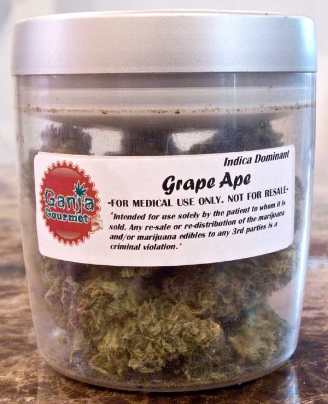 GanjaGourmetGrapeApejar