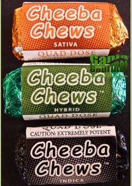 GanjaGourmetCheebaChews04id