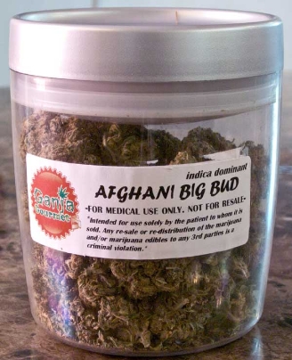 GanjaGourmetAfghaniBigBudjar2