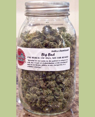 GanjaGourmetBigBudjar