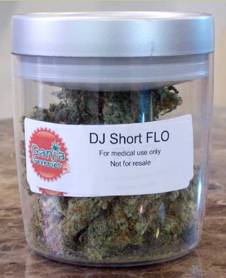 GanjaGourmetDJShortFlojar
