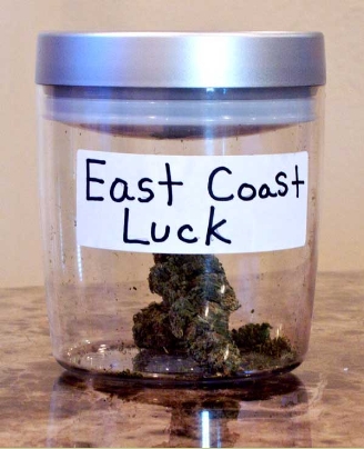 GanjaGourmetEastCoastLuck01jar